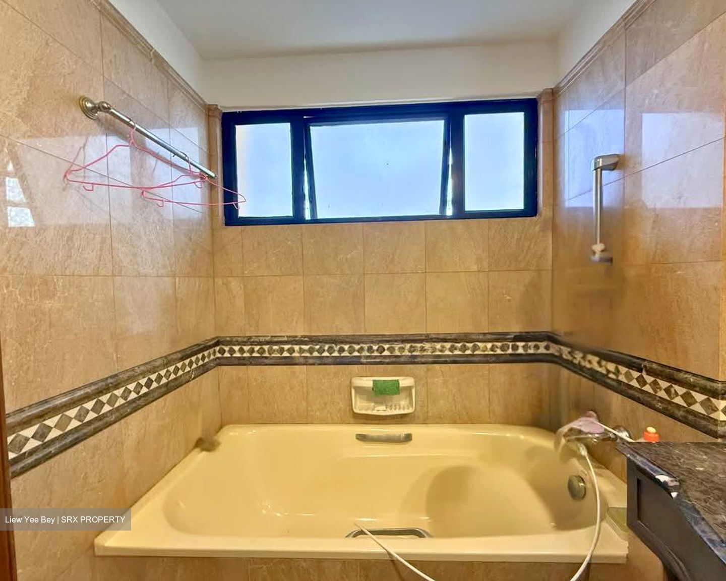 Dover Parkview (D5), Condominium #611516741